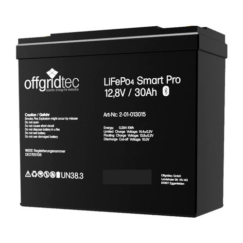 Batería de litio LiFePo4 30Ah/12V